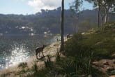 theHunter: Call of the Wild - Emerald Coast Australia