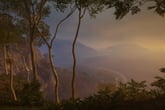 theHunter: Call of the Wild - Emerald Coast Australia
