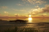 theHunter: Call of the Wild - Emerald Coast Australia