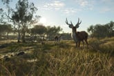 theHunter: Call of the Wild - Emerald Coast Australia