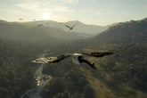 theHunter: Call of the Wild - Emerald Coast Australia