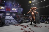 AEW: Fight Forever