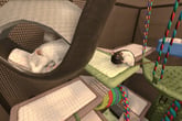 House Flipper Pets