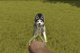 House Flipper Pets
