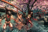 Shadow Warrior