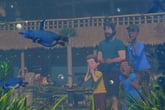 Planet Zoo: Oceania Pack