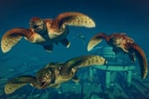 Jurassic World Evolution 2: Prehistoric Marine Species Pack