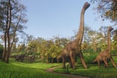 Lawn Mowing Simulator - Dino Safari