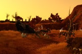 SpellForce 2 Anniversary Edition