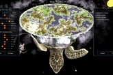 World Turtles