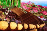 All-Star Fruit Racing