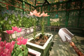 Garden Life: A Cozy Simulator - Supporter Edition