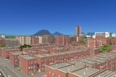 Cities: Skylines - Content Creator Pack: Brooklyn & Queens
