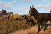 Planet Zoo: Barnyard Animal Pack