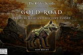 The Elder Scrolls Online Deluxe Upgrade: Gold Road - Pre Order (Steam) Bundle