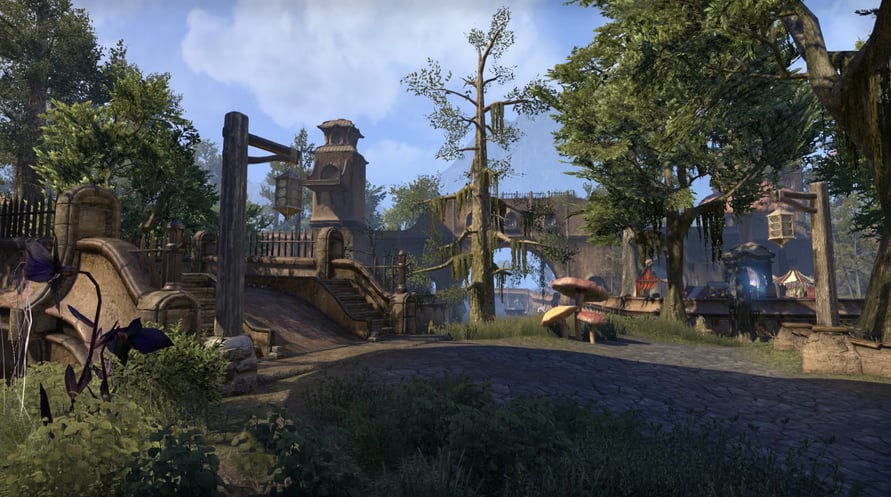The Elder Scrolls Online - Morrowind Digital Collector’s Edition