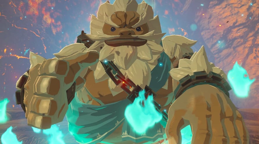 Zelda Breath of the Wild Expansion Pass EU Nintendo Switch