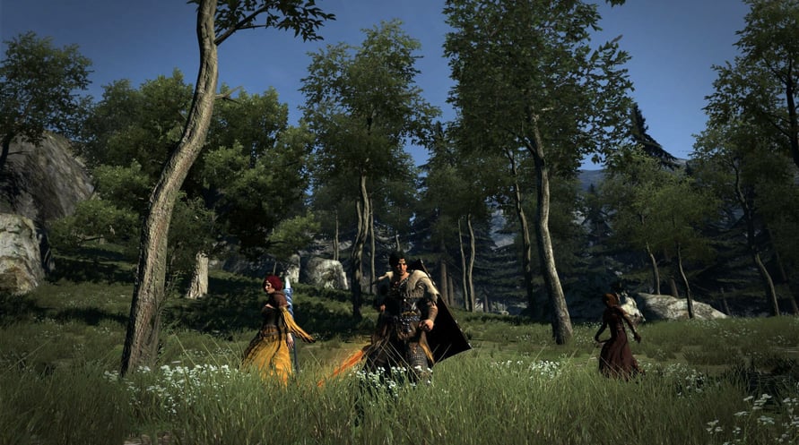 Dragon's Dogma : Dark Arisen