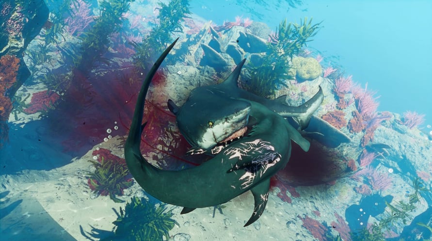 Maneater -Epic Games Version