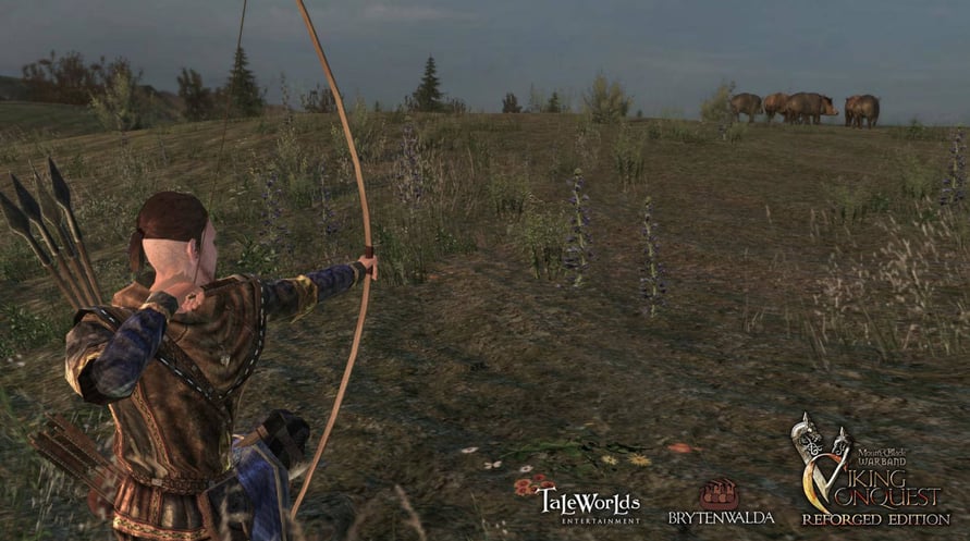 Mount & Blade: Warband - Viking Conquest Reforged Edition