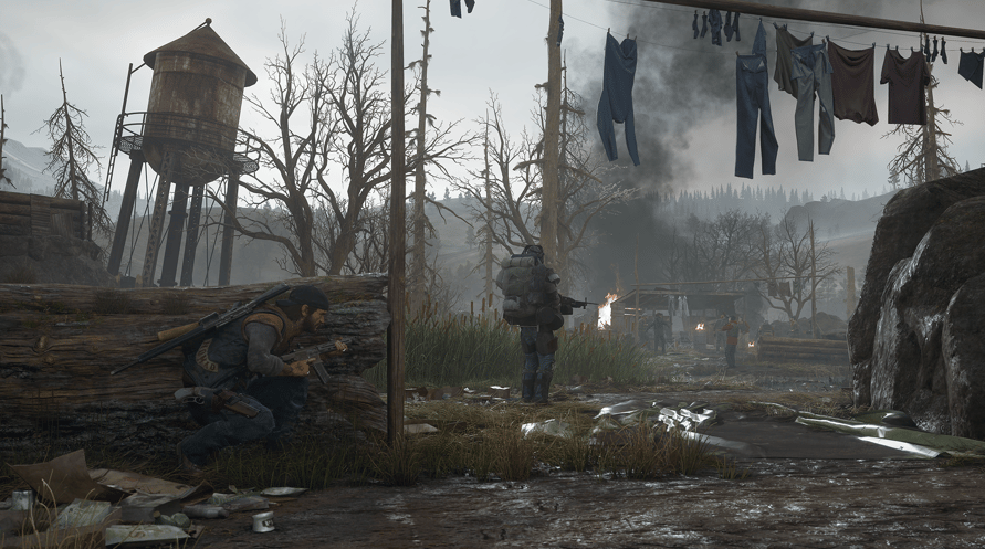 Days Gone