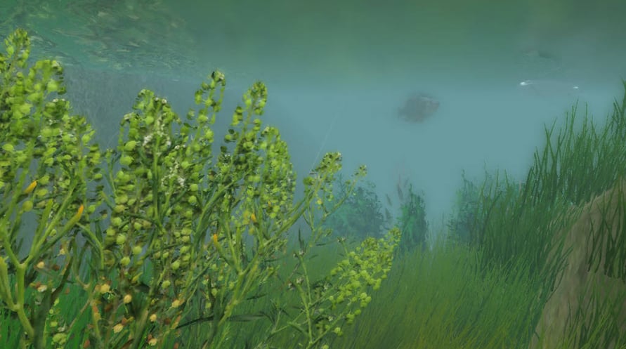 European Fishing