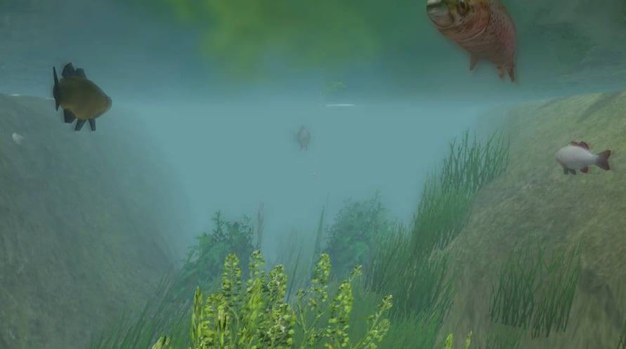 European Fishing