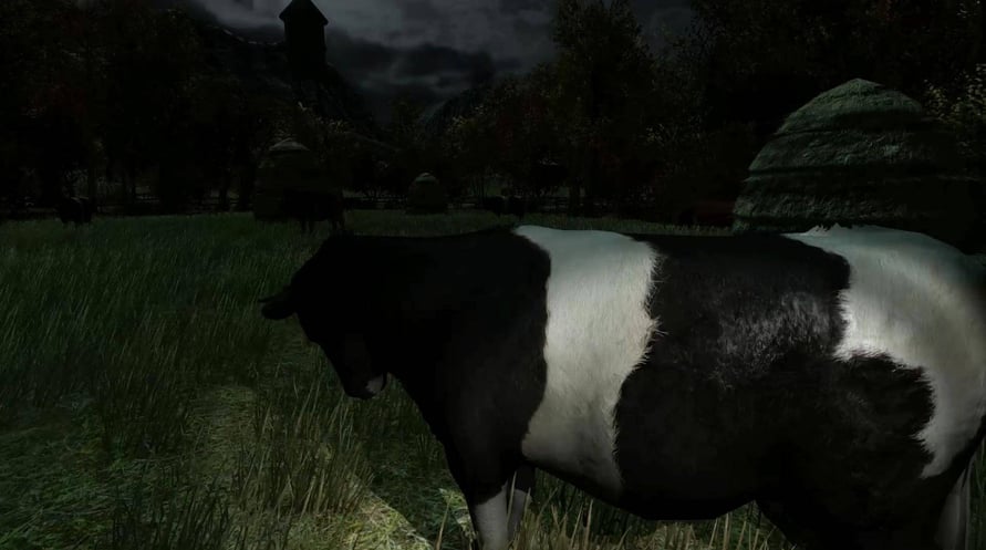 The Cows Are Watching