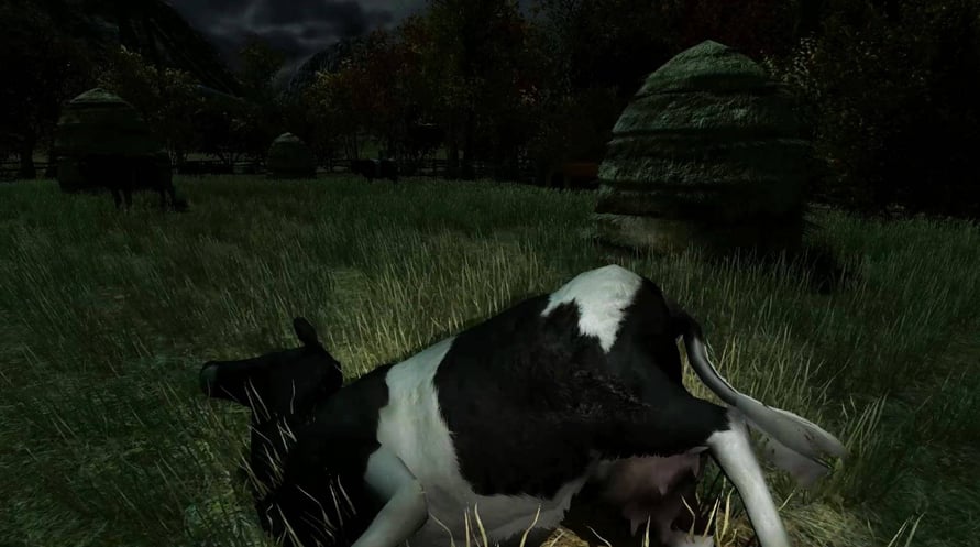 The Cows Are Watching