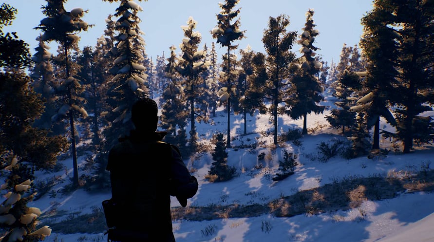 Open Country