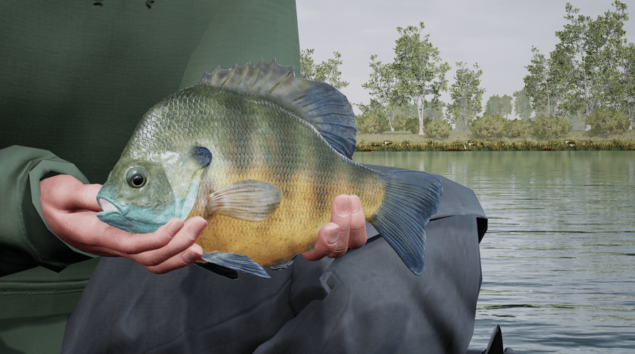 Fishing Sim World: Pro Tour – Lake Williams