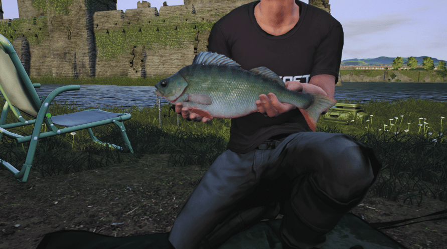 Euro Fishing: Ultimate Edition