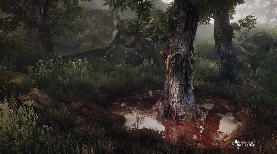The Vanishing of Ethan Carter