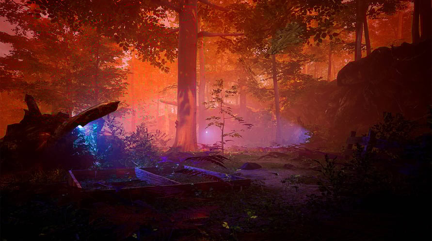 The Fabled Woods
