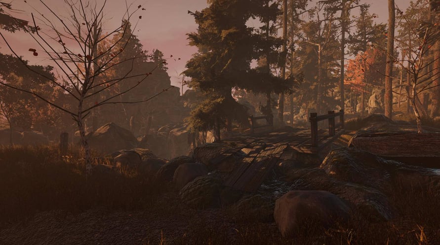 Through the Woods: Digital Collector's Edition
