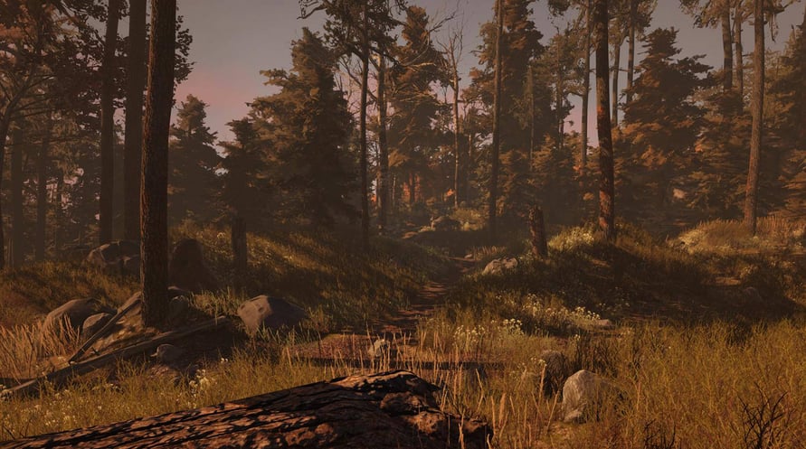 Through the Woods: Digital Collector's Edition