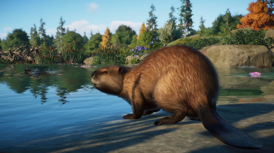 Planet Zoo: North America Animal Pack