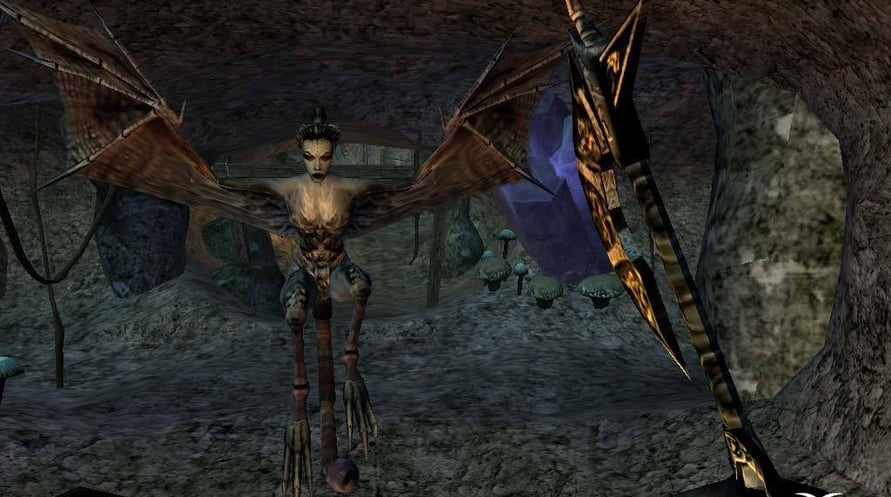 The Elder Scrolls III: Morrowind Game of the Year Edition