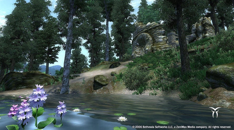The Elder Scrolls IV: Oblivion Game of the Year Edition