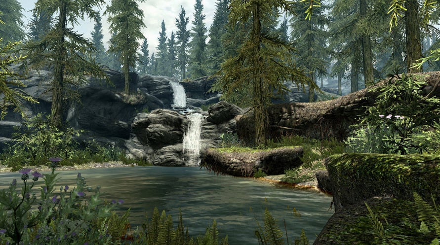 The Elder Scrolls V : Skyrim