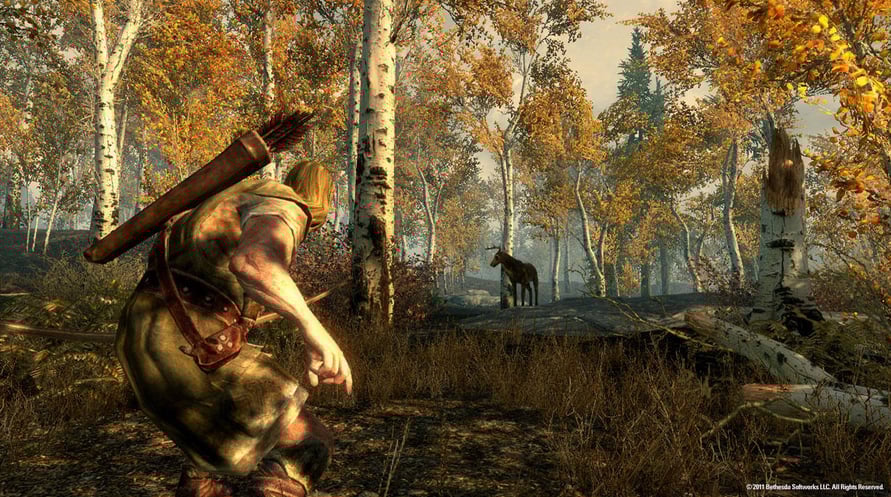 The Elder Scrolls V : Skyrim - Special Edition
