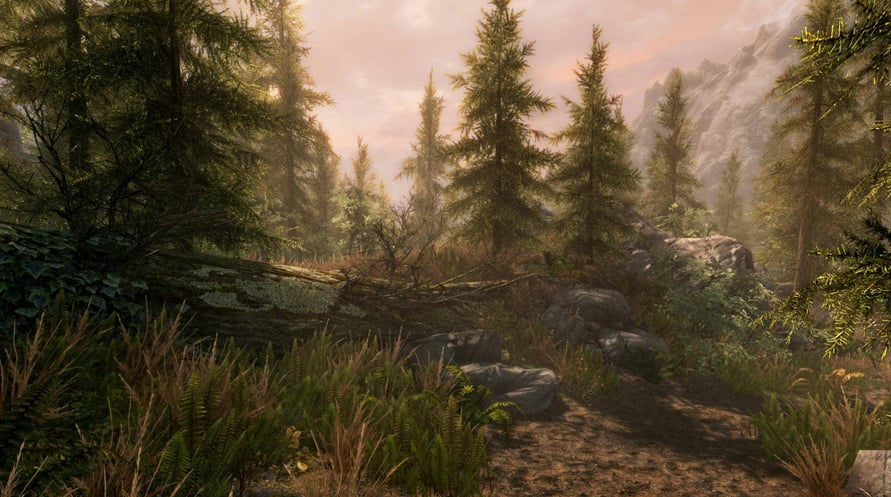 The Elder Scrolls V : Skyrim - Special Edition