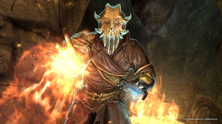 The Elder Scrolls V : Skyrim - DragonBorn