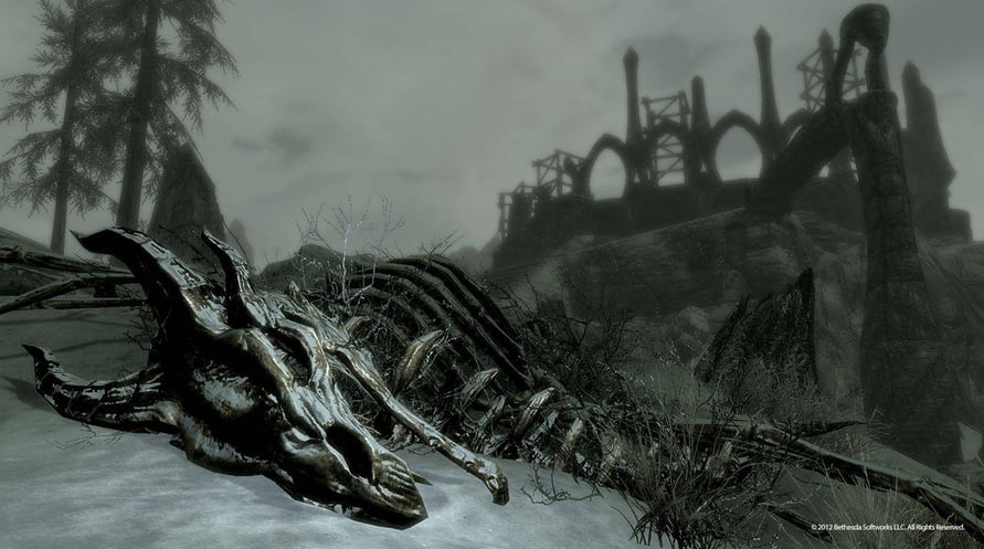 The Elder Scrolls V : Skyrim - DragonBorn