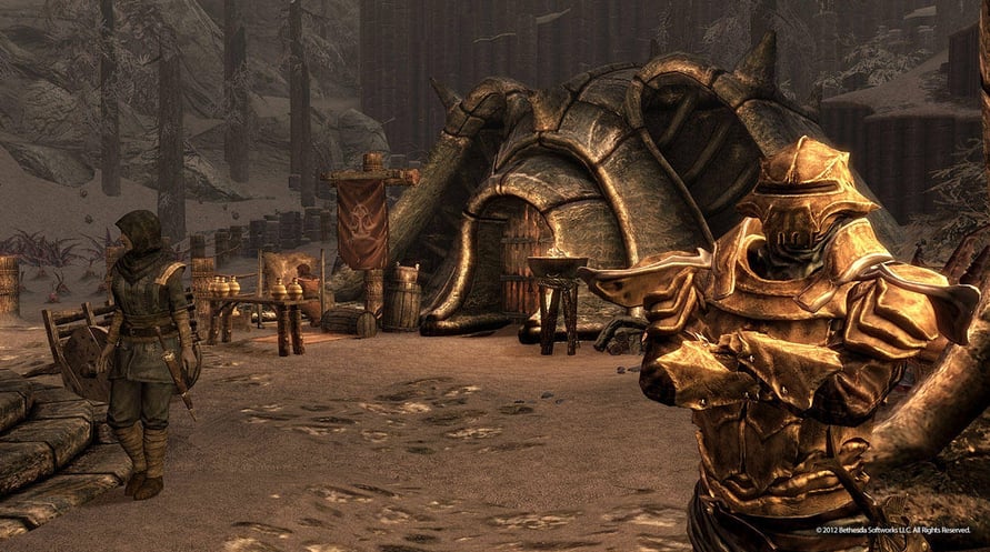 The Elder Scrolls V : Skyrim - DragonBorn