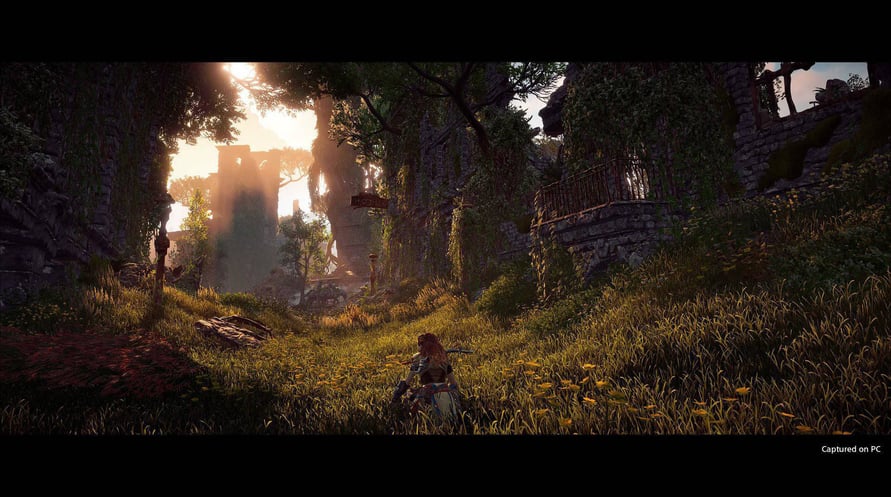 Horizon Zero Dawn Complete Edition
