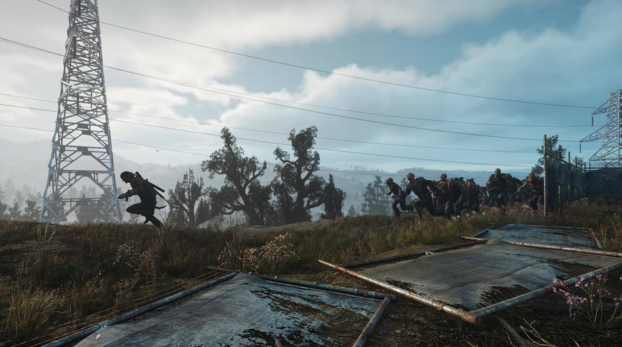 Days Gone