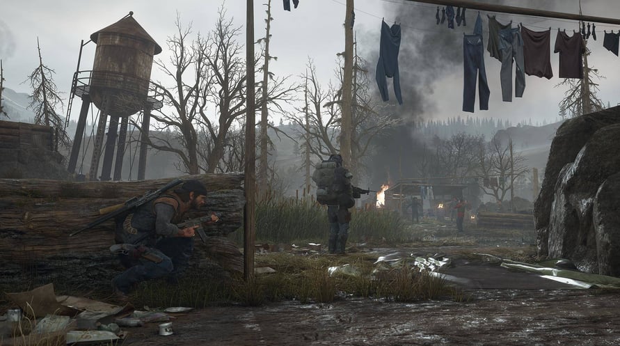 Days Gone