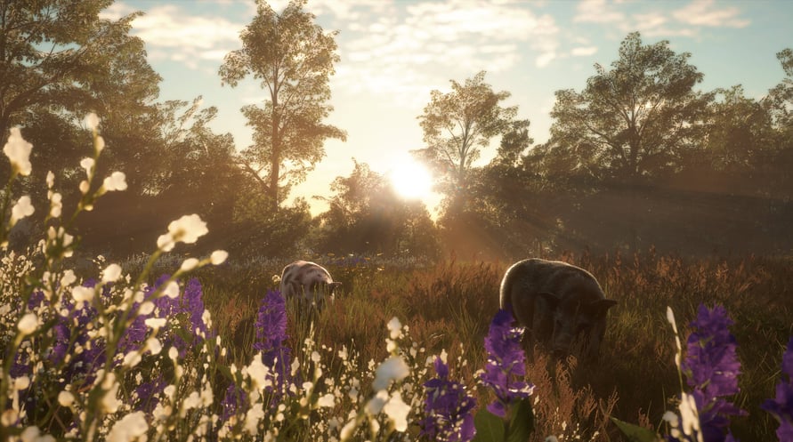 theHunter: Call of the Wild - Mississippi Acres Preserve