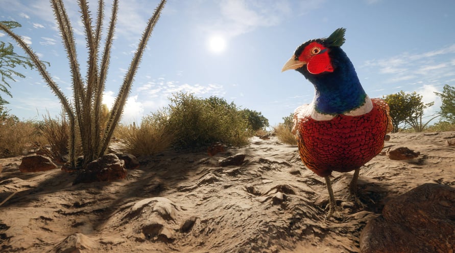 theHunter: Call of the Wild - Rancho del Arroyo